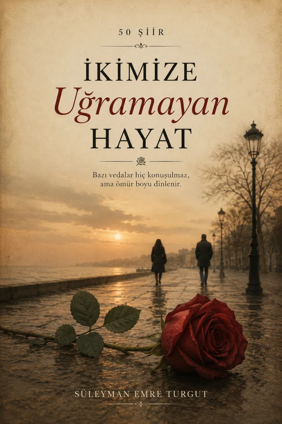 İkimize Uğramayan Hayat kitap kapağı