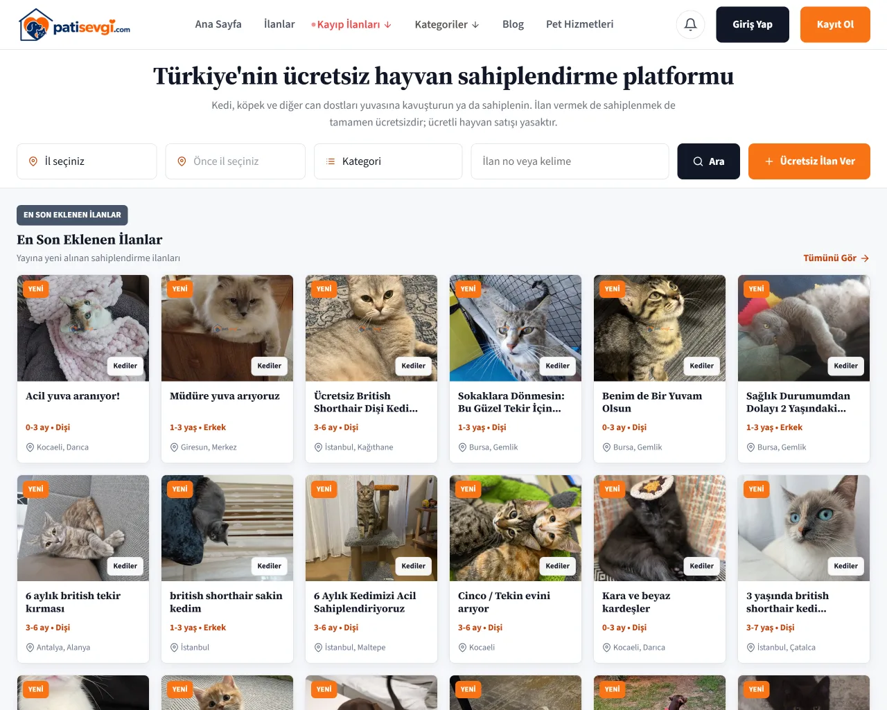 PatiSevgi hayvan sahiplendirme platformu ana sayfası